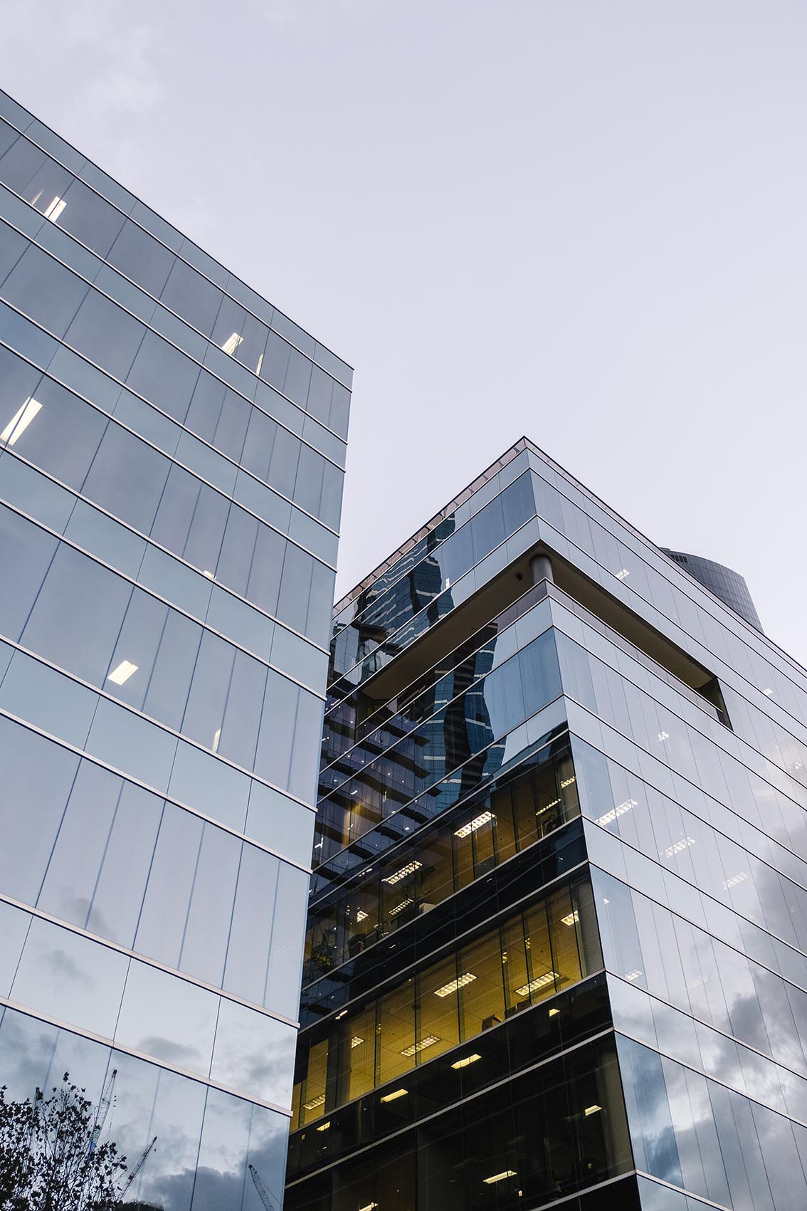 Aesthetic Excellence